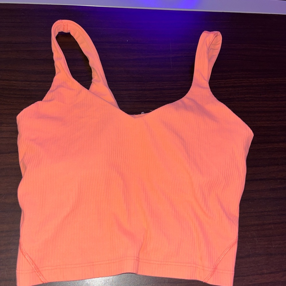 Vibrant Orange Crop Top